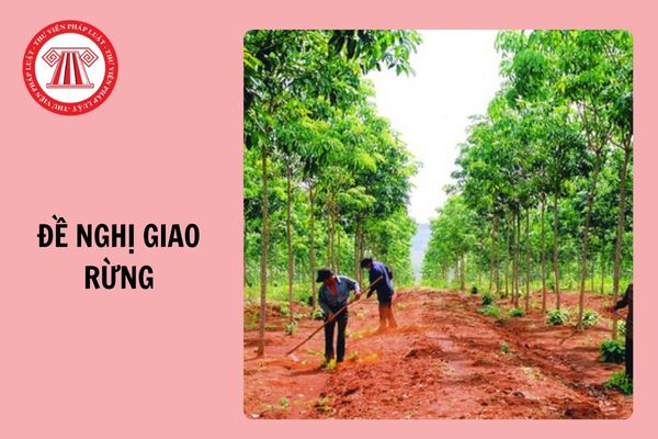 Mẫu Đề nghị giao rừng dùng cho hộ gia đình, cá nhân mới nhất 2024?