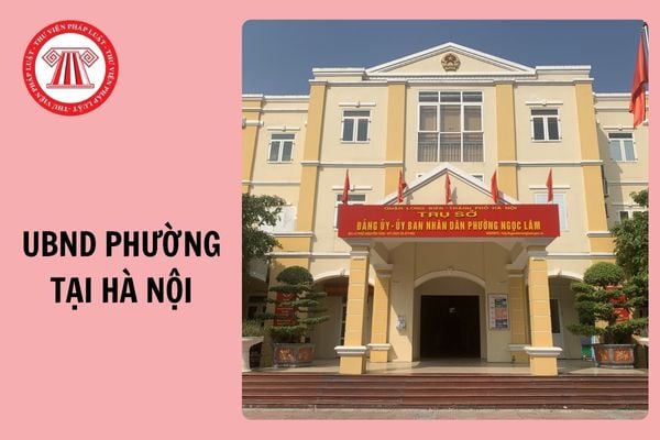 UBND phường tại Hà Nội có không quá 2 Phó Chủ tịch từ 2025?