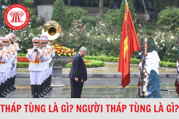 Tháp tùng là gì? Người tháp tùng là gì? Người tháp tùng lãnh đạo nước ngoài đến thăm Việt Nam là ai?