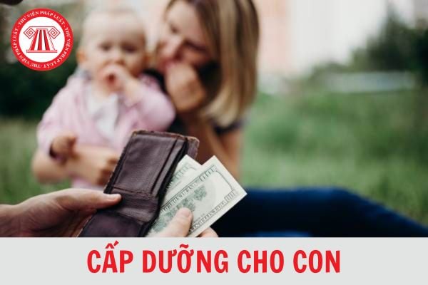 Hướng dẫn về nghĩa vụ cấp dưỡng cho con của cha mẹ không trực tiếp nuôi con theo Nghị quyết 01?