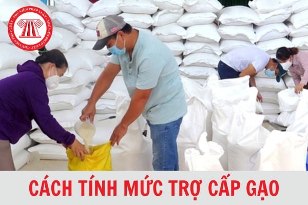 Hướng dẫn cách tính mức trợ cấp gạo bảo vệ và phát triển rừng từ 15/7/2024? Cho ví dụ?