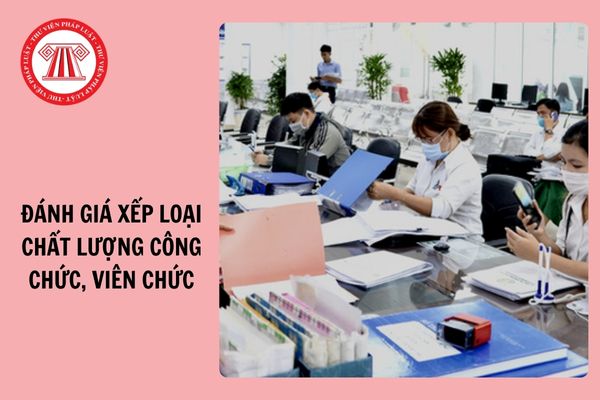 Năm 2024, đánh giá xếp loại chất lượng công chức, viên chức Bộ GD&ĐT vào thời điểm nào?