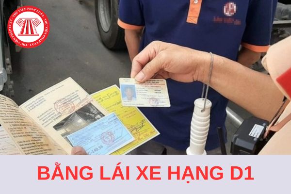 Bằng lái xe hạng D1 lái được xe gì? Bao nhiêu tuổi thì được thi bằng lái hạng xe D1?