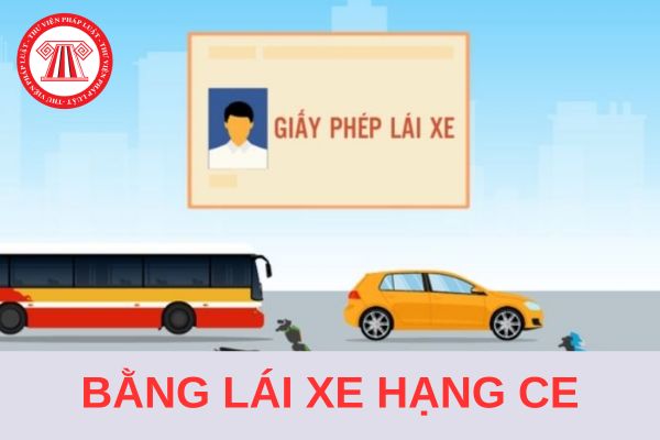 Bằng lái xe hạng CE lái được xe gì? Bao nhiêu tuổi thì được thi bằng lái hạng xe CE?