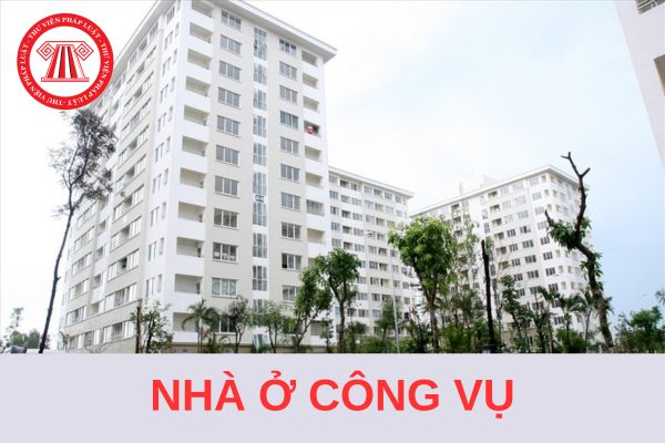 Mẫu Quyết định bố trí cho thuê nhà ở công vụ mới nhất 2024?