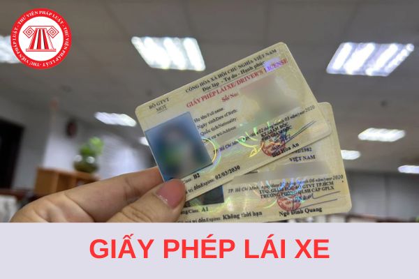 04 trường hợp giấy phép lái xe có giá trị sử dụng trong phạm vi lãnh thổ Việt Nam từ 1/1/2025?