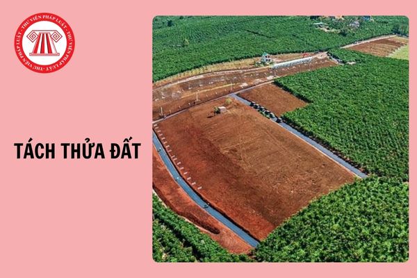 Diện tích tối thiểu tách thửa đất tại tỉnh Bến Tre từ 05/11/2024?