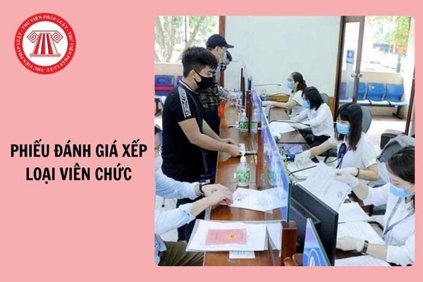 Mẫu phiếu đánh giá xếp loại viên chức Bộ GDĐT 2024 theo Quyết định 3086?