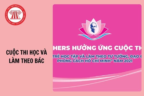 Đáp án Cuộc thi Học và làm theo Bác bảng C thi thật - Vòng loại Tuần 2 năm 2024 - 2025?