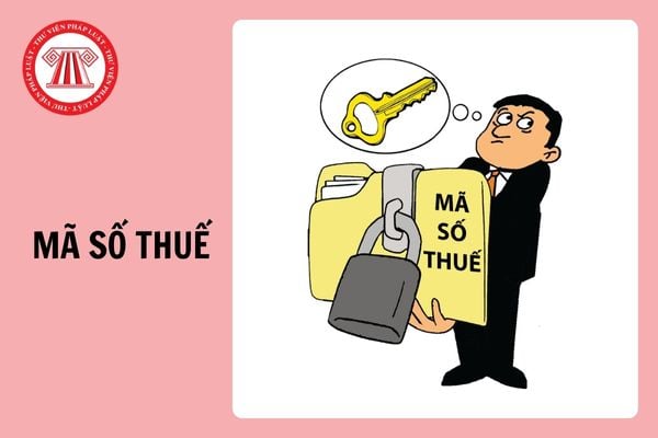 Từ 6/2/2025, người nộp thuế được cấp mã số thuế 12 chữ số trong trường hợp nào?