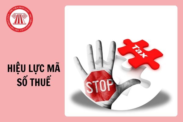 Mẫu văn bản đề nghị chấm dứt hiệu lực mã số thuế (24-ĐK-TCT) mới nhất 2025?