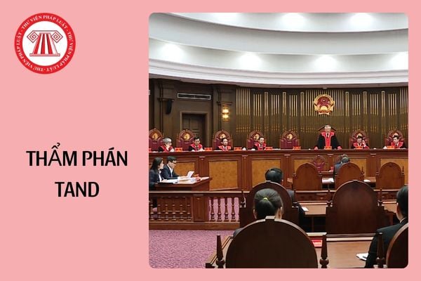 Từ 1/1/2025, thẩm phán cao cấp, trung cấp, sơ cấp được chuyển thành Thẩm phán Tòa án nhân dân?