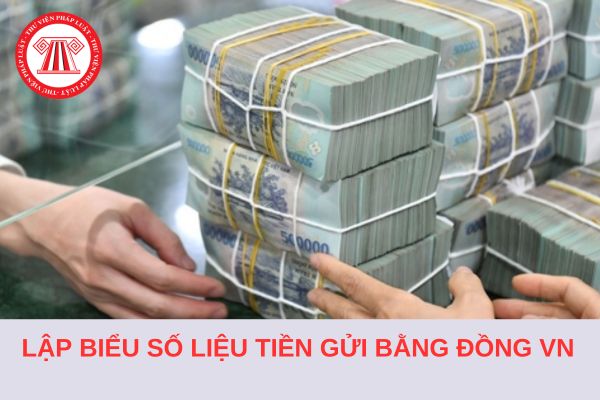 Hướng dẫn lập biểu Số liệu tiền gửi bằng đồng Việt Nam 2024 chi tiết?