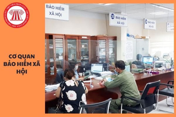 Cơ quan bảo hiểm xã hội phải đánh giá và dự báo khả năng cân đối của quỹ hưu trí và tử tuất định kỳ bao lâu?