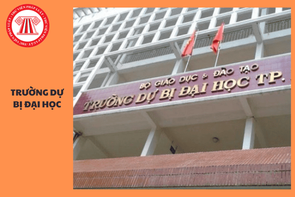 Từ ngày 20/11/2024, trường dự bị đại học bị đình chỉ hoạt động giáo dục khi nào?