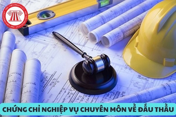 Cá nhân được cấp lại chứng chỉ nghiệp vụ chuyên môn về đấu thầu trong trường hợp nào?