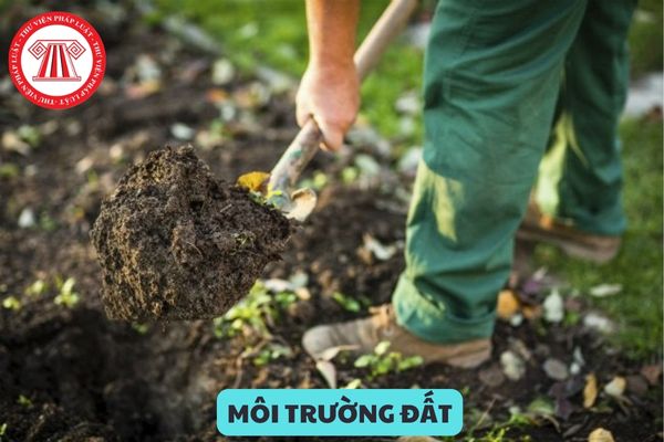 Việc điều tra, đánh giá chi tiết khu vực ô nhiễm môi trường đất gồm những nội dung nào?