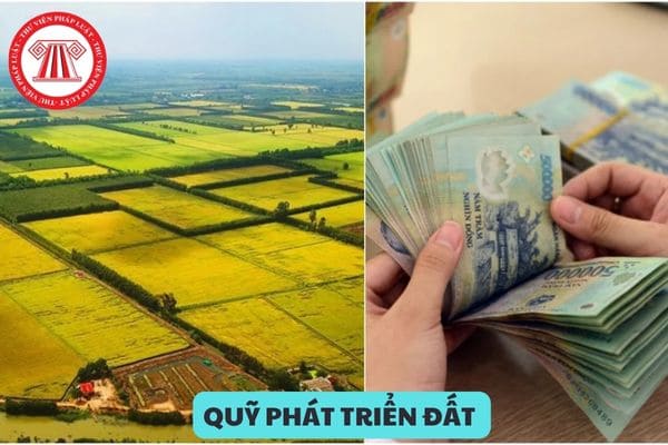 Quỹ phát triển đất được quy định như thế nào?