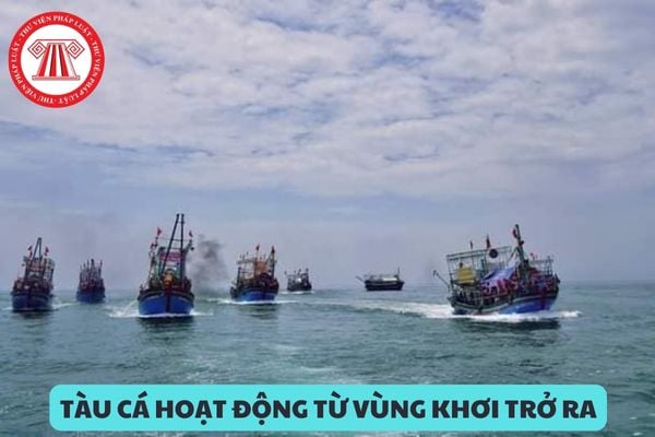 Cảng cá chỉ định cho tàu cá hoạt động từ vùng khơi trở ra cập cảng cần phải đáp ứng các yêu cầu gì?