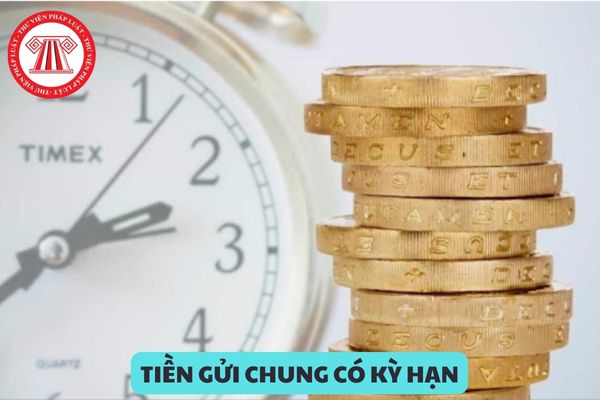 Tiền gửi chung có kỳ hạn là gì? Người chưa đủ 15 tuổi có được tự mình nhận chi trả tiền gửi có kỳ hạn không?