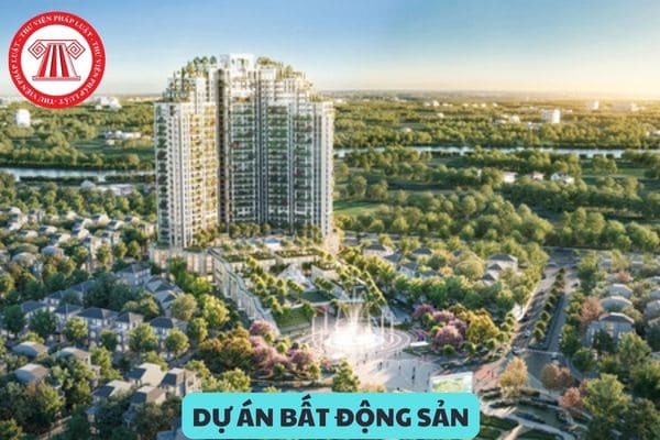 Chuyển nhượng toàn bộ hoặc một phần dự án bất động sản được thực hiện theo nguyên tắc gì?