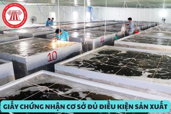 Giấy chứng nhận cơ sở đủ điều kiện sản xuất, ương dưỡng giống thủy sản bị hư hỏng thì có cấp lại được không?