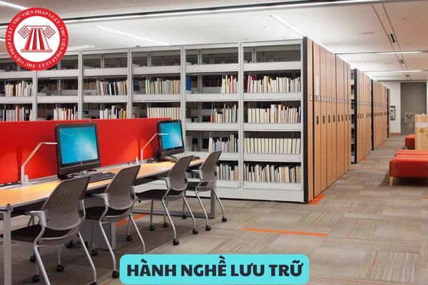 Để được cấp Chứng chỉ hành nghề lưu trữ cần đáp ứng các điều kiện gì? Người thuộc một trong các trường hợp nào thì không được cấp Chứng chỉ hành nghề lưu trữ?