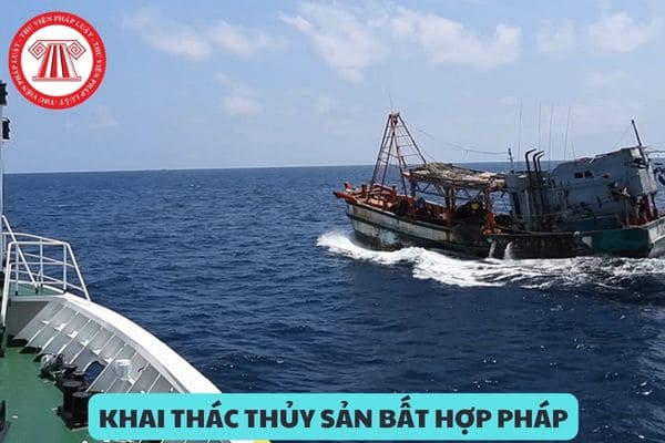 Hành vi vận chuyển nguồn lợi thủy sản từ tàu cá khai thác thủy sản bất hợp pháp ở ngoài vùng biển Việt Nam thì bị phạt như thế nào?