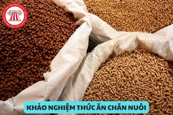 Cơ sở khảo nghiệm thức ăn chăn nuôi phải có người phụ trách kỹ thuật có trình độ như thế nào?