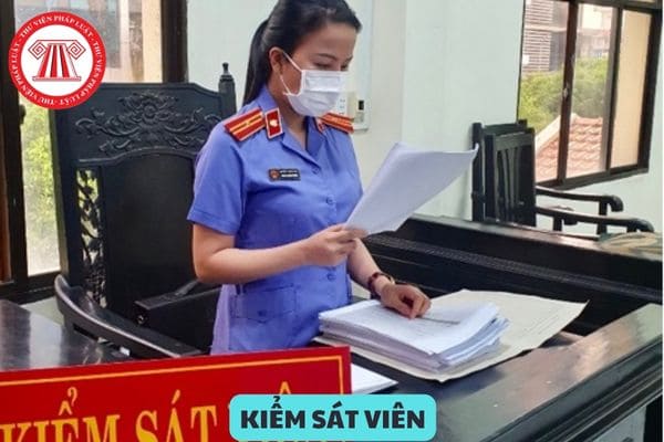 Người được bổ nhiệm vào các ngạch Kiểm sát viên phải tuyên thệ những gì?