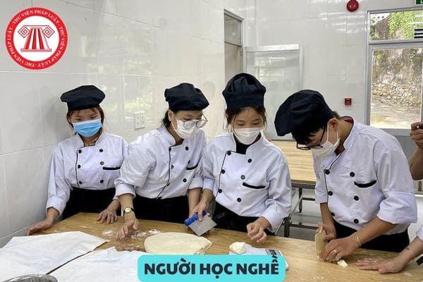 Người học nghề, người tập nghề phải đủ bao nhiêu tuổi? Người sử dụng lao đông tuyển người dưới 14 tuổi vào học nghề, tập nghề bị phạt như thế nào?