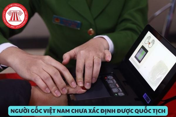 Người gốc Việt Nam chưa xác định được quốc tịch được cấp giấy chứng nhận căn cước khi nào?