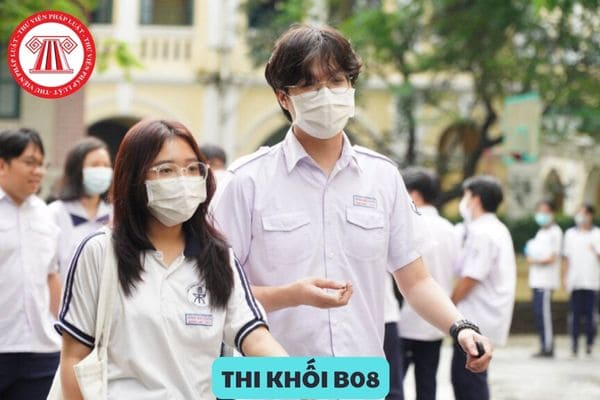 Thi khối B08 gồm những môn nào? Thi khối B08 thì học ngành gì?