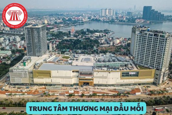 Theo Quyết định 768/QĐ-TTg năm 2016 thì dự kiến đất xây dựng các trung tâm thương mại đầu mối của thành phố Hà Nội đến năm 2030 đạt khoảng bao nhiêu ha?