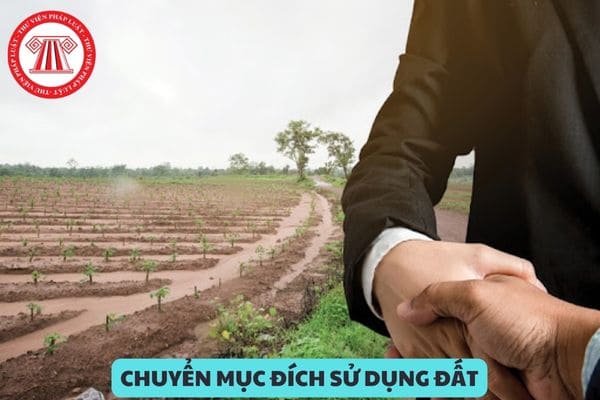 Mẫu quyết định cho phép chuyển mục đích sử dụng đất mới nhất năm 2024?