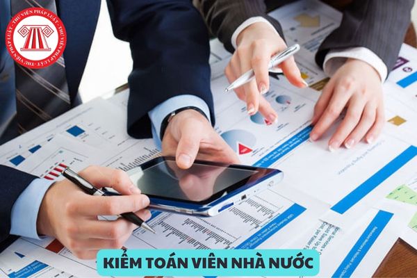 Trường hợp nào thì được cấp lại thẻ Kiểm toán viên nhà nước?