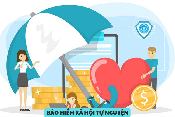 Từ ngày 01/7/2025, Người tham gia bảo hiểm xã hội tự nguyện được hưởng lương hưu khi nào?