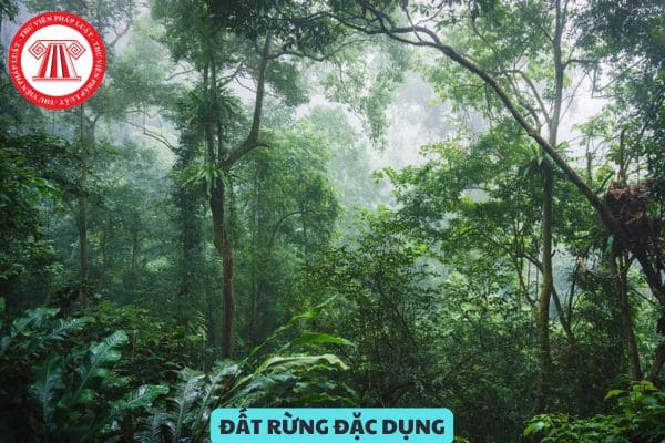 Người sử dụng đất rừng đặc dụng có phải trả tiền sử dụng đất khi được Nhà nước giao đất hay không?