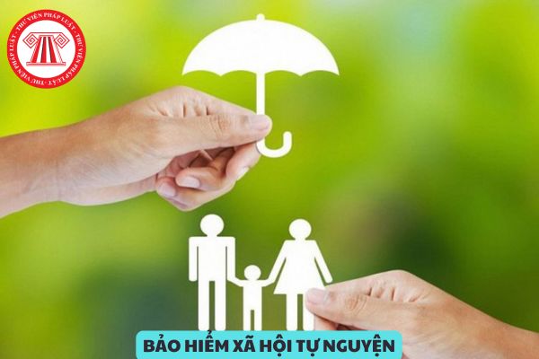 Mức đóng BHXH tự nguyện cao nhất từ 01/7/2025 khi tăng lương cơ sở 2,34 triệu là bao nhiêu?