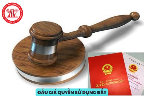 Cá nhân tham gia đấu giá quyền sử dụng đất phải đáp ứng các điều kiện gì?