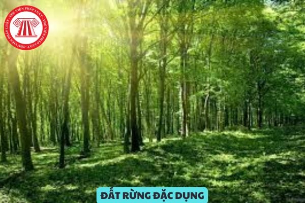 Tổ chức kinh tế có không được nhận chuyển nhượng quyền sử dụng đất rừng đặc dụng của cá nhân không?