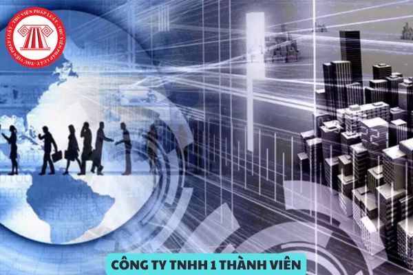 Ai có thẩm quyền quyết định chuyển đổi Công ty con chưa chuyển đổi thành Công ty TNHH 1 thành viên từ ngày 01/9/2024?