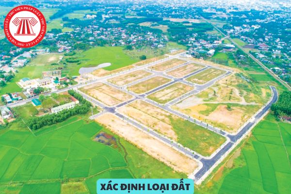 Theo quy định của Luật Đất đai năm 2024, việc xác định loại đất dựa trên căn cứ nào?