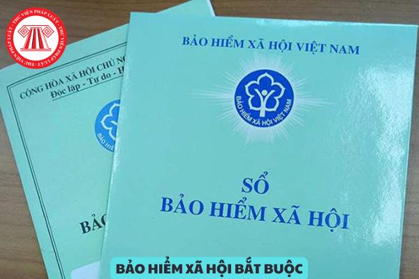 Người sử dụng lao động trốn đóng bảo hiểm xã hội bắt buộc thì bị công khai ở đâu?