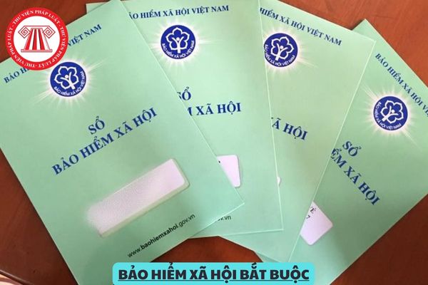 Biện pháp xử lý đối với hành vi trốn đóng bảo hiểm xã hội bắt buộc là gì?