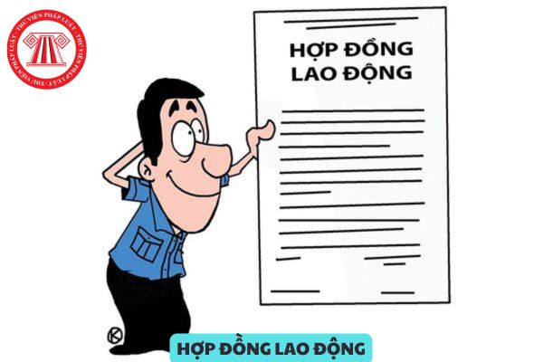 Người lao động có quyền yêu cầu Tòa án có thẩm quyền tuyên bố hợp đồng lao động vô hiệu không?