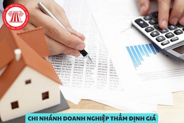 Chi nhánh doanh nghiệp thẩm định giá phải đáp ứng đủ các điều kiện nào?