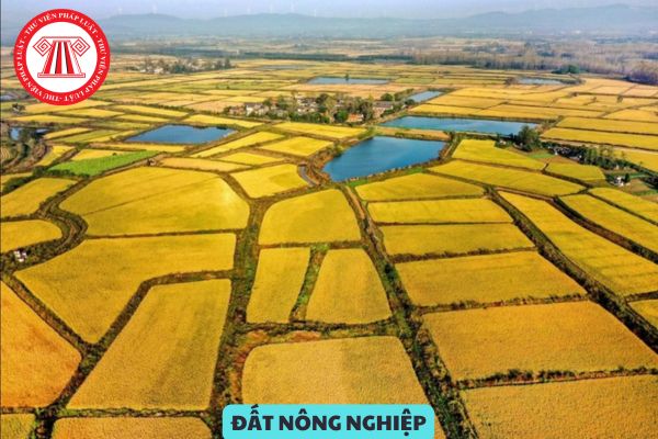 Việc tập trung đất nông nghiệp phải bảo đảm các nguyên tắc nào?