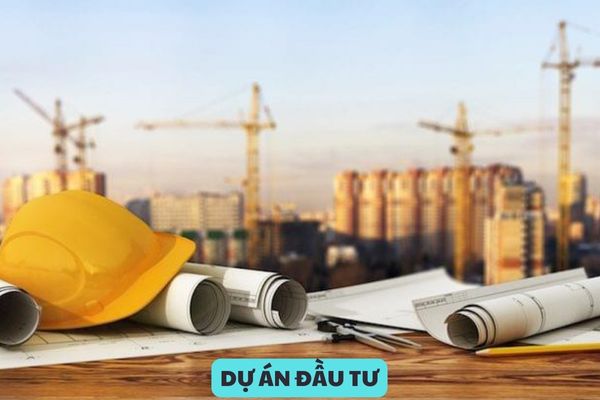 Mẫu đơn xin điều chỉnh thời hạn sử dụng đất của dự án đầu tư mới nhất năm 2024?