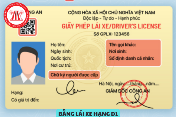 Từ ngày 01/01/2025, bằng lái xe hạng D1 có thời hạn bao nhiêu năm?